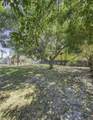341 Pinewood Street - Photo 6
