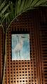 226 1st Avenue - Photo 47