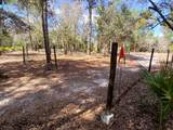 11991 Flaxen Drive - Photo 3