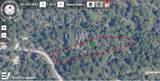 11991 Flaxen Drive - Photo 4
