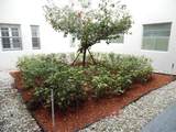 157 Capri D - Photo 16