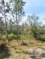 920 Gaillardia Drive - Photo 3