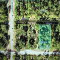 920 Gaillardia Drive - Photo 4