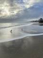 129 Caribbean - Photo 31