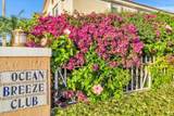 1950 7th Street - Photo 48