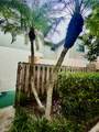 4320 Lilac Street - Photo 2