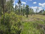 0 Holopaw Groves Road - Photo 1