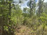 0 Holopaw Groves Road - Photo 1