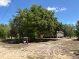 6667 Wild Horse Loop - Photo 35