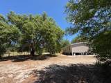 6667 Wild Horse Loop - Photo 38