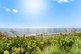 5540 Ocean Drive - Photo 15