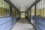1339 Gallop Drive - Photo 36