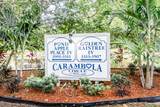3335 Carambola Circle - Photo 38