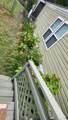 1102 Casey Lane - Photo 38