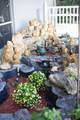 15786 Mellen Lane - Photo 50