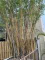 208 Avenue E - Photo 62