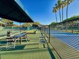 10975 Dolphin Palm Court - Photo 43