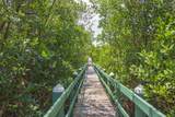 740 Lake Orchid Circle - Photo 32
