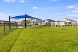 11539 Macelli Way - Photo 38