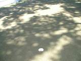 2555 Pga Boulevard - Photo 34
