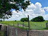 1601 Us Highway 441 - Photo 34