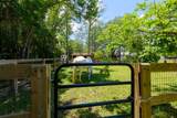 12856 Arrowwood Drive - Photo 18