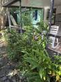 303 Delaware Boulevard - Photo 33