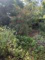303 Delaware Boulevard - Photo 37