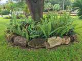 13881 42nd Road - Photo 14