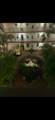 2801 Somerset Drive - Photo 51