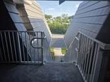 415 Pine Tree Court - Photo 41