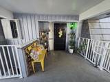 415 Pine Tree Court - Photo 42