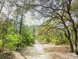 0000 Lone Pine Trail - Photo 10