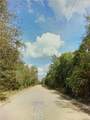 0000 Lone Pine Trail - Photo 11