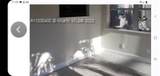 811 Broadway - Photo 24