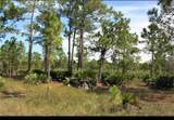 1855 Miller Street - Photo 2