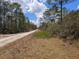 430 Apple Blossom Avenue - Photo 1