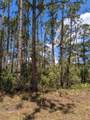 430 Apple Blossom Avenue - Photo 3