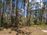 430 Apple Blossom Avenue - Photo 4