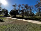 8149 Lagos De Campo Blvd - Photo 43