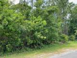 2351 Allamanda Drive - Photo 2