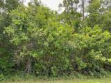 2351 Allamanda Drive - Photo 3