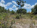Lot 24 Indian Lake Drive - Photo 2