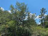 Lot 24 Indian Lake Drive - Photo 7