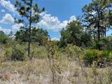 Lot 24 Indian Lake Drive - Photo 8