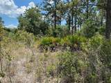 Lot 24 Indian Lake Drive - Photo 9