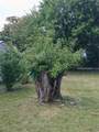 1371 51st Ter - Photo 7