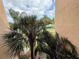 950 Egret Cir - Photo 48