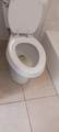 2421 56th Ave - Photo 31
