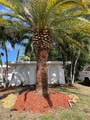 815 Airoso Blvd - Photo 3